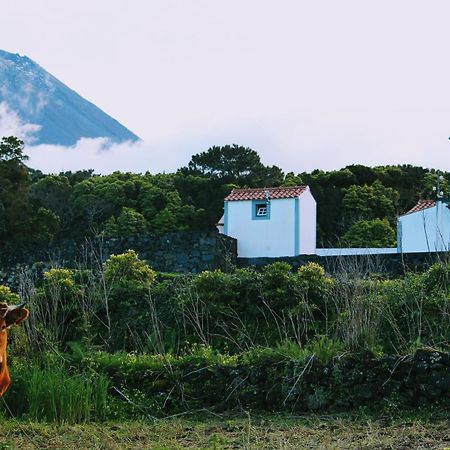 Casa Do Paim Villa Sao Roque do Pico Luaran gambar