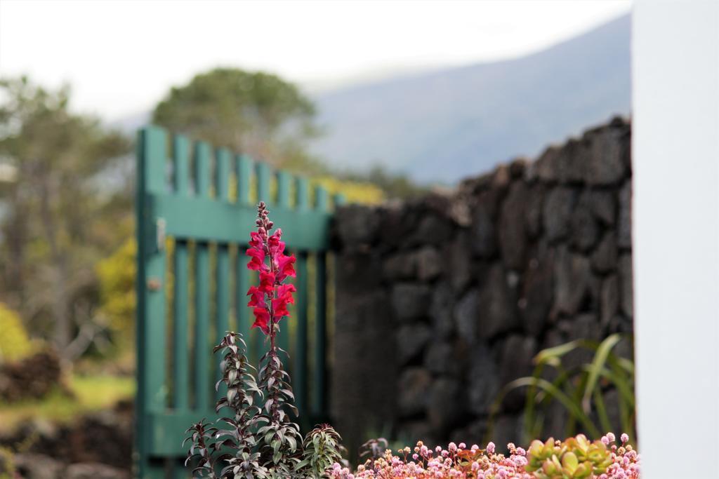 Casa Do Paim Villa Sao Roque do Pico Luaran gambar