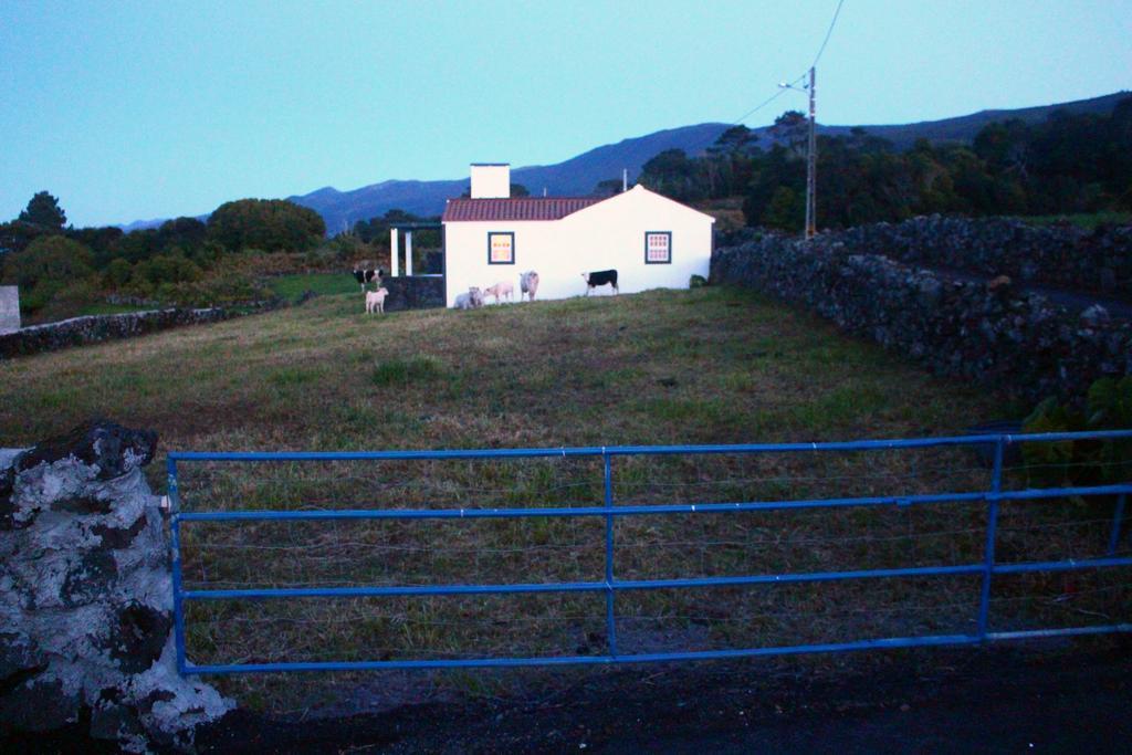 Casa Do Paim Villa Sao Roque do Pico Luaran gambar