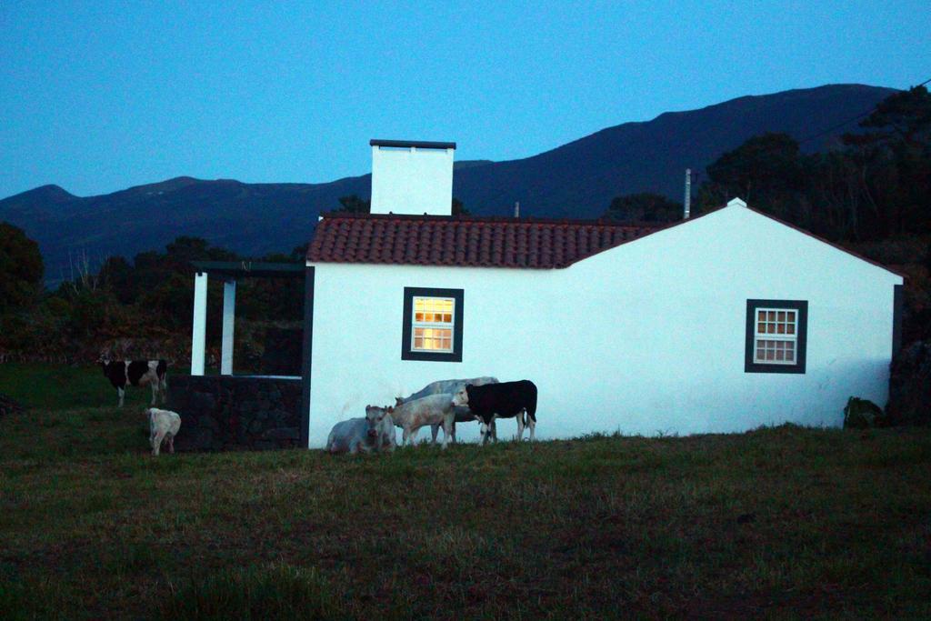 Casa Do Paim Villa Sao Roque do Pico Luaran gambar