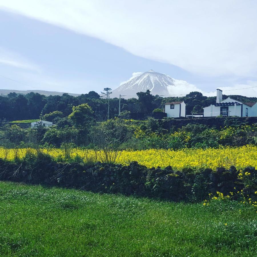 Casa Do Paim Villa Sao Roque do Pico Luaran gambar